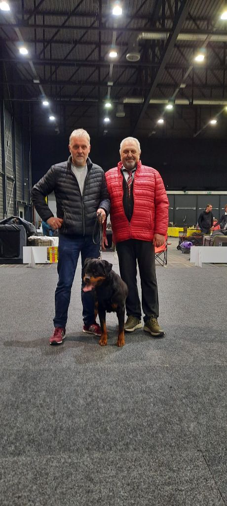 du champ des louves - CACIB Offenburg Ortenau-Schau 2024.