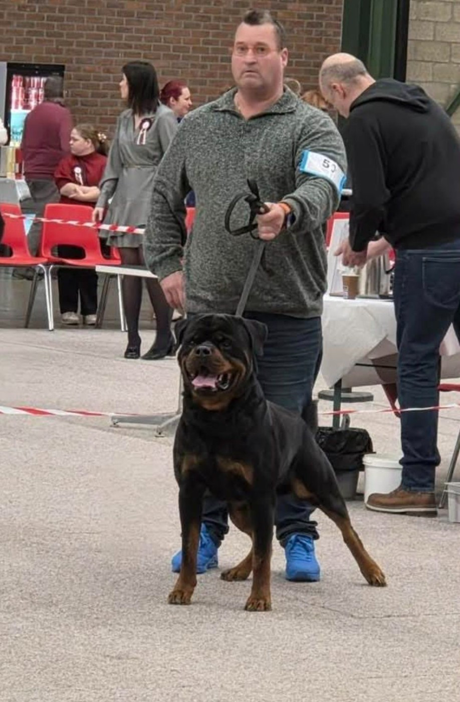 Ambiorixtrophy Show Genk (Belgium)