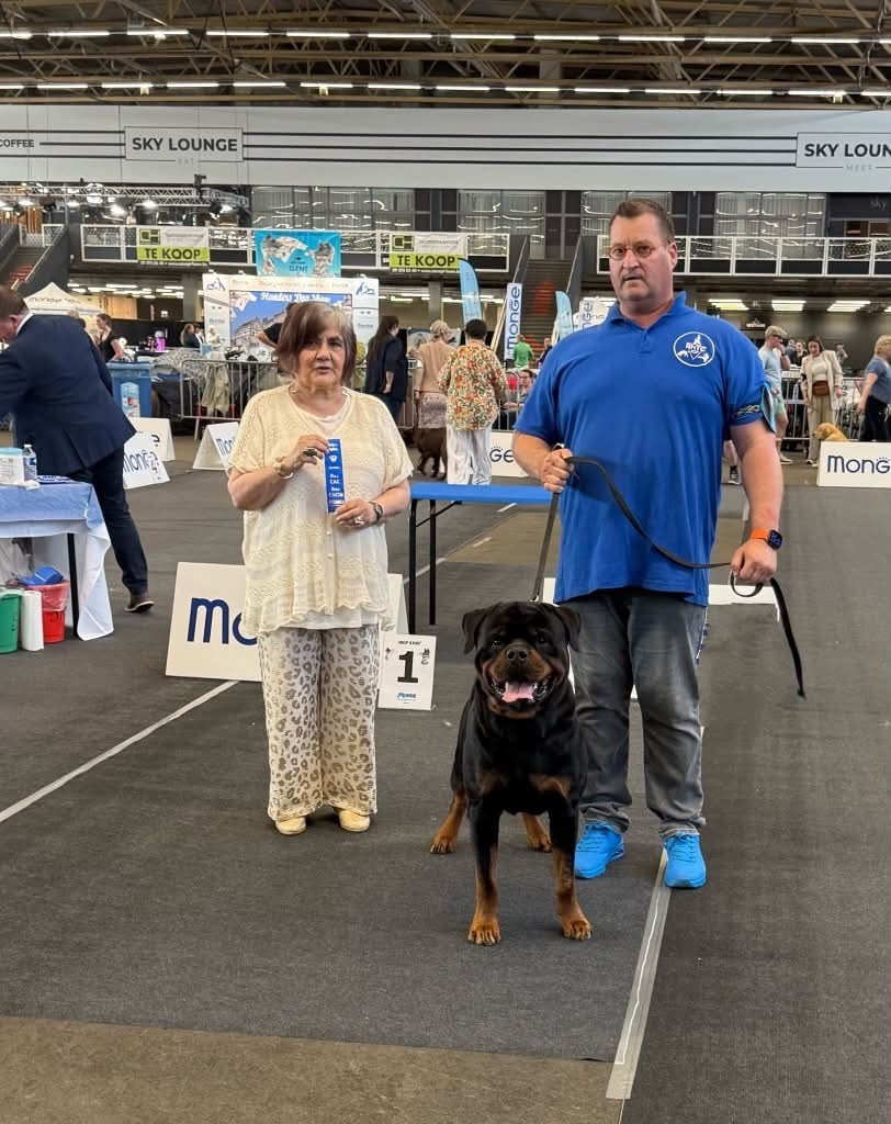 CAC CACIB Flanders Dog Show Gent (Belgium)