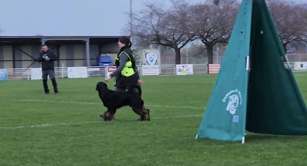 Concours IGP Sin le Noble France